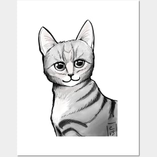 Kitty portrait Posters and Art